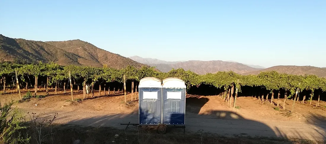 Baños de Quimalva junto a un viñedo en vendimia